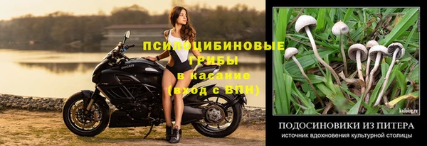 меф Алзамай